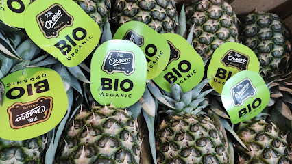 Bionatura en Fuengirola. Frutería