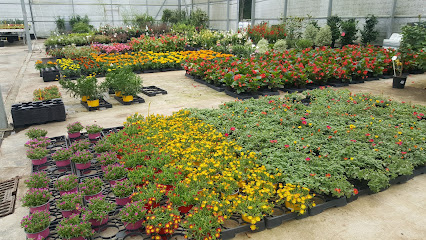 ZUMETA BIZITEGIA SL en Aduna. Floristería mayorista
