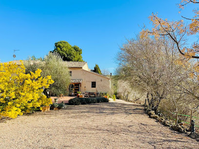 Masia Spa Can Pascol Casa Rural Ecològica en Pontons. Piscina cubierta