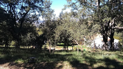 Colonia Seidia en Benasal. Centro de ocio infantil