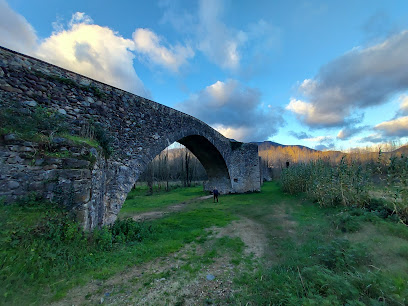 Puente de Santa Julià del Llor en La Cellera de Ter. Puente