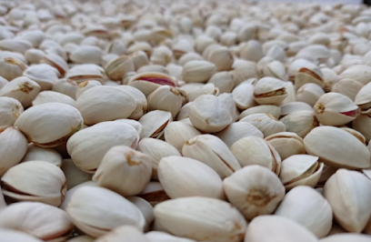 Agrogestion de Pistacho S.L en Daimiel. Servicio agrícola
