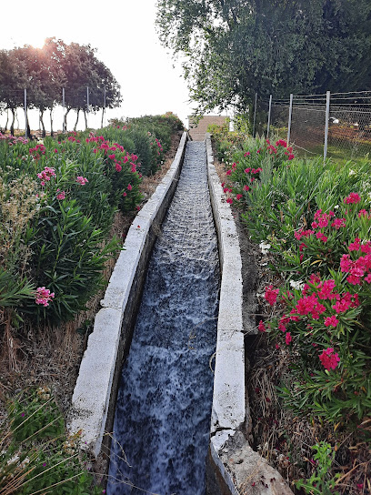 Catarata de Carbajosa (canal de Villagonzalo) en Carbajosa de la Sagrada. Parque ecológico