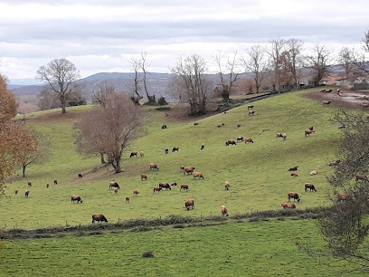Riós (Ourense) en Riós. Área