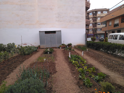 Huerto 'El Perchel' en Ciudad Real. Huerto