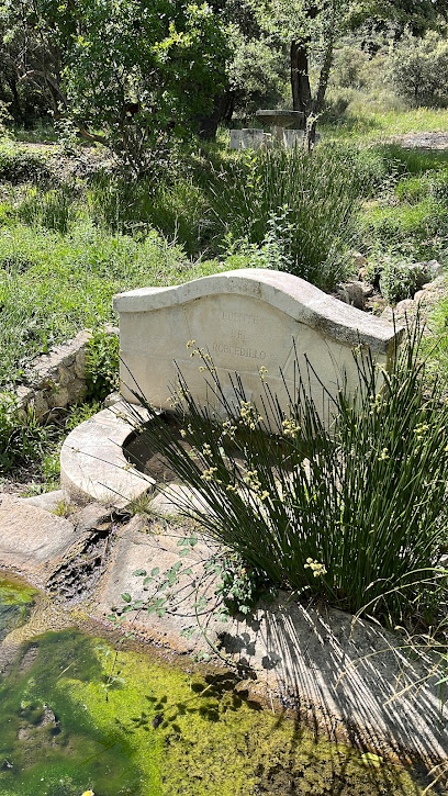 Fuente del Robledillo en Ambite. Zona de senderismo