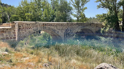 Puente de Cristinas en Pajaroncillo. Puente