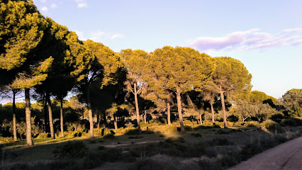 Parque periurbano Dehesa Matallana en Lora del Río. Parque