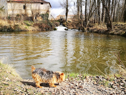 Ayuntamiento de Carrascal del Río en Carrascal del Río. Ayuntamiento