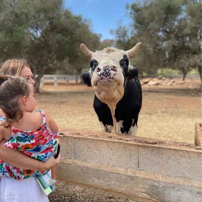 Fresopolis Mallorca en Lluchmayor. Parque de animales
