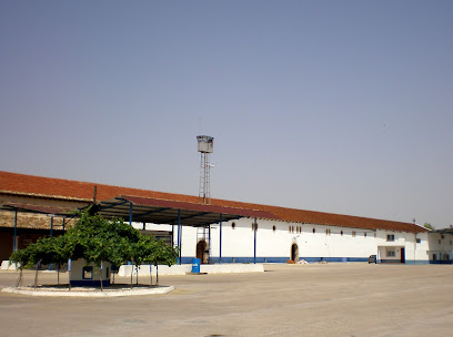 Cooperativa Cristo de la Vega en Socuéllamos. Bodega