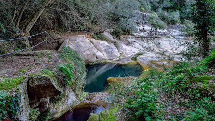 Font de la Torre en Canet d'Adri. Reserva natural