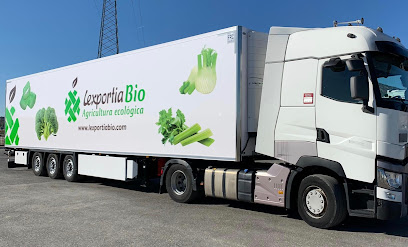 Lexportia Bio en Lorca. Mayorista de frutas y hortalizas