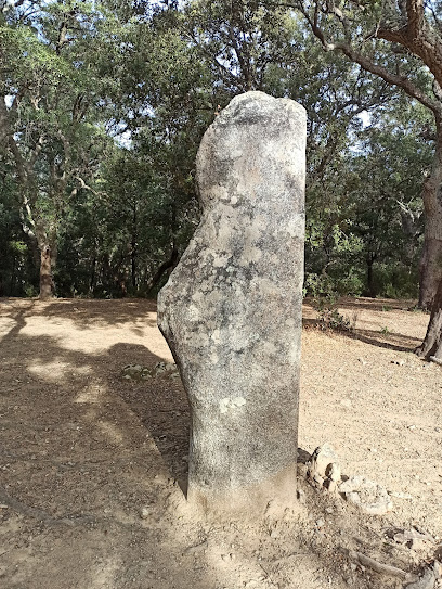 Menhir de la Piedra Derecha (Pedra Dreta) en Maçanet de Cabrenys. Atracción turística