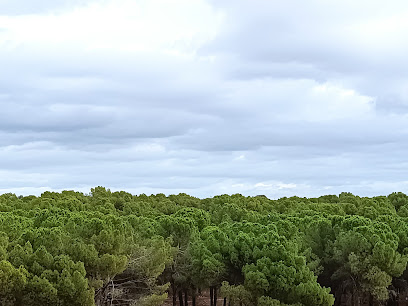 Dehesa de Marimartín en Navalcarnero. Reserva natural