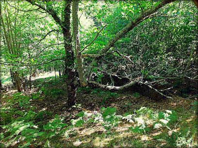 La Rescosilla en Ladrillar. Parque ecológico