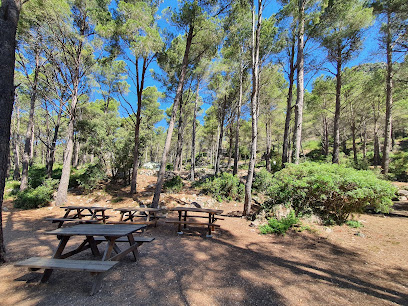 Àrea recreativa forestal del Montmell en La Juncosa del Montmell. Zona de senderismo