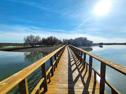 Parque Nacional de las Tablas de Daimiel en Daimiel. Parque nacional