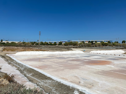 Salinas San Vicente en San Fernando. Sala de banquetes
