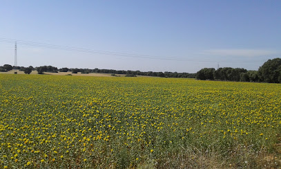 Enagas Yela en Brihuega. Almacén