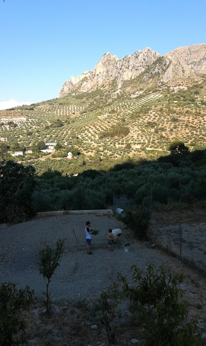 Albamchez De Magina en Albanchez de Mágina. Área