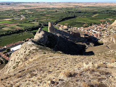 Castillo de Rueda de Jalón en Rueda de Jalón. Castillo