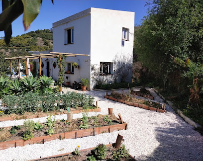 www.aguacatesecologicos.com en Jete. Granja orgánica