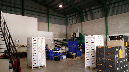 Biovergel Distribuidora Fruta Y Verdura Eco en Ayelo de Malferit. Comercio