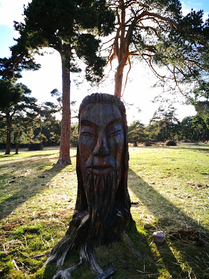 Ruta de las Estatuas en Condemios de Arriba. Atracción turística