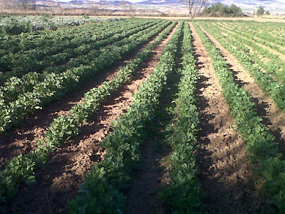 Finca la Noria