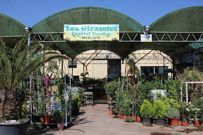 Centre de Jardineria Els Gira-sols en Burriana. Centro de jardinería
