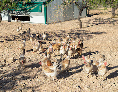 Finca Ecológica El Romero en Bullas. Ganadero