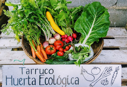 Tarruco huerta ecológica en Villafufre. Huerto