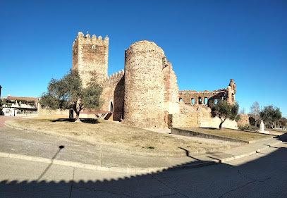 Castillo de Laguna de Negrillos en Laguna de Negrillos. Castillo