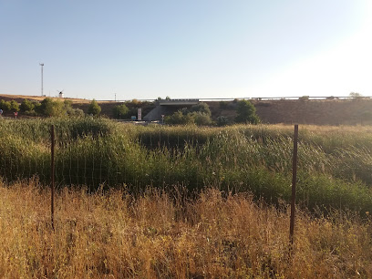 Charca del Cementerio en Pozo Cañada. Parque ecológico