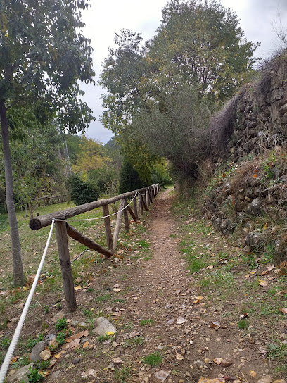 Oasis de mariposas Sot de Chera en Sot de Chera. Jardín
