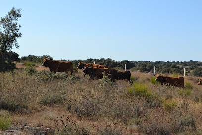 Oxen Durii en Sobradillo de Palomares. Granja orgánica
