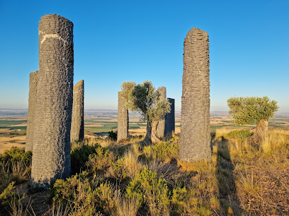 Árboles como arqueología (Fernando Casás
