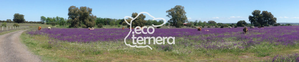 ecoternera en Calzada de Oropesa. Carnicería