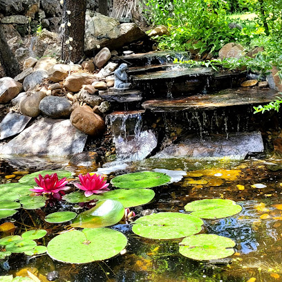 Jardinería Ecológica Maderas Vivas en Alpedrete. Servicio de jardinería
