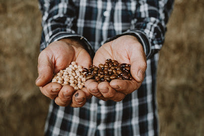 NATUARABA- Por el desarrollo de la agricultura ecológica en Álava en Arratzua-Ubarrundia. Asociación agrícola