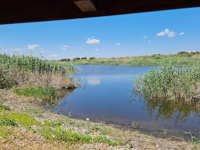 Paraje Natural Lagunas de Lo Monte en Pilar de la Horadada. Museo de zoología