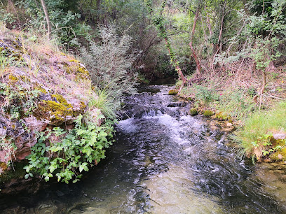Fuente Lisa (surgimiento de agua) en Río Madera. Zona de senderismo