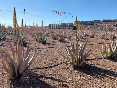 Finca Canarias Aloe Vera Arona en Arona. Proveedor de productos de belleza
