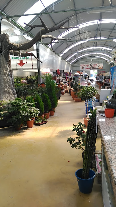 Viveros Villa Otura en Otura. Centro de jardinería