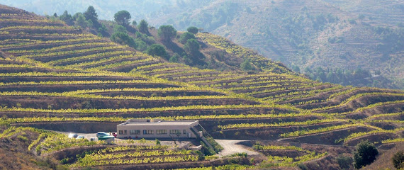Celler Marco Abella en Porrera. Bodega