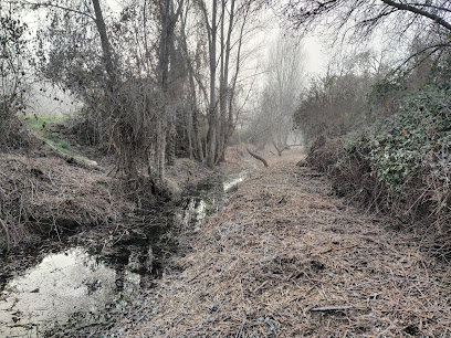 Arboleda de la Tejería en Plenas. Parque ecológico