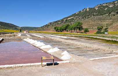 Salinas de Saelices en Saelices de la Sal. Lugar de interés histórico
