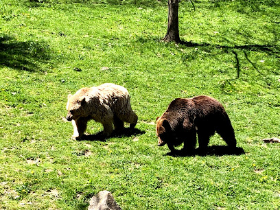 Molló Parc | Parque de animales en Molló. Parque de animales