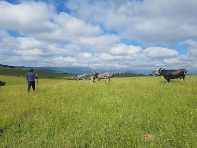 Dehesa La Lejuca en Aldueso. Granja orgánica